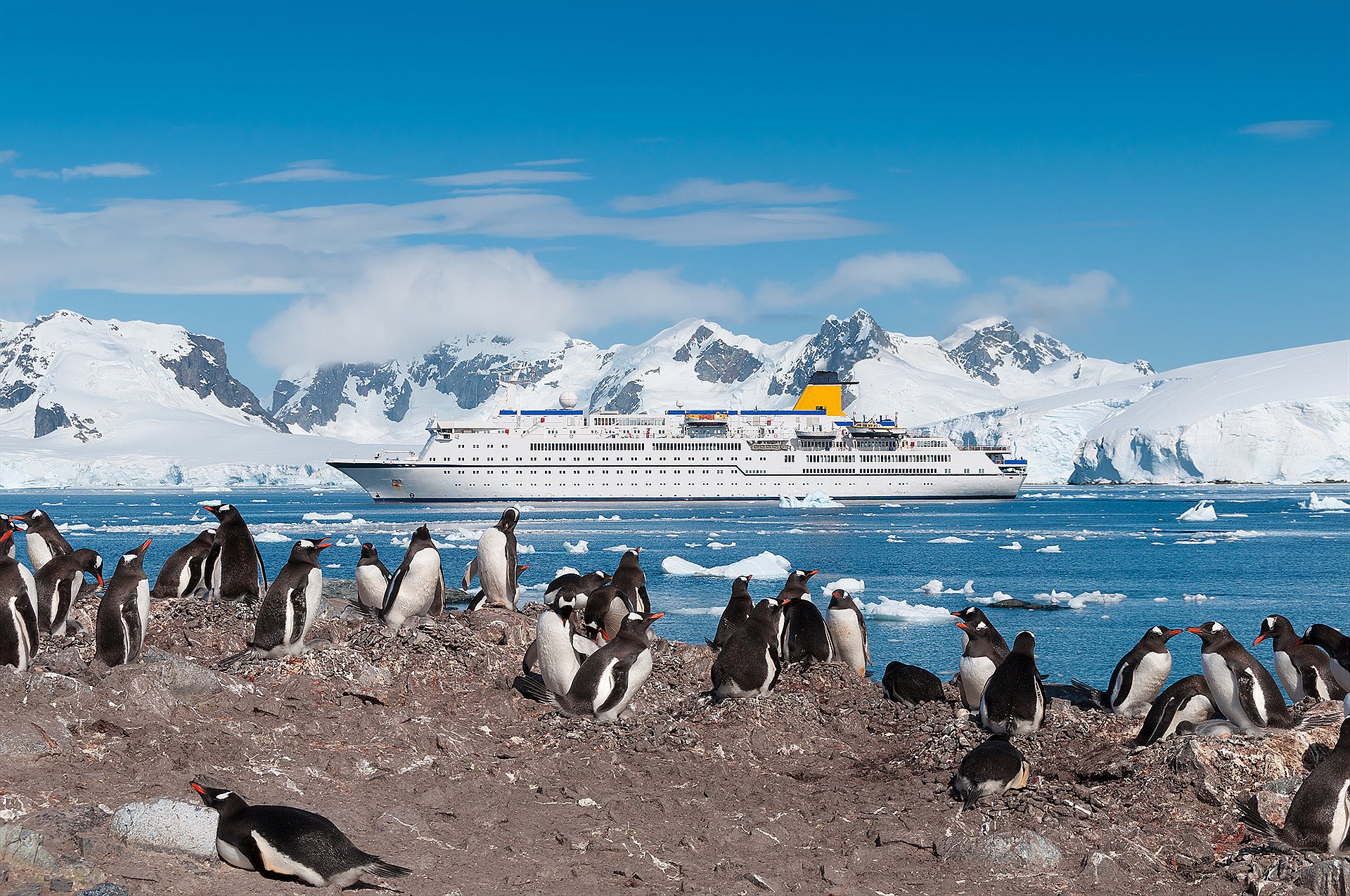 Antarctica & Arctic Expedition Cruises &mdash; Antarctica